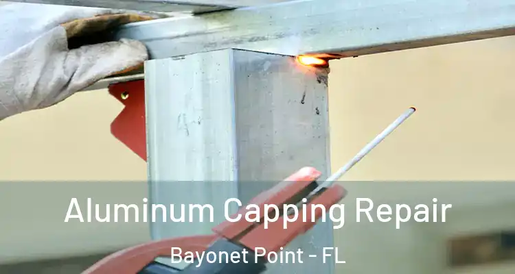 Aluminum Capping Repair Bayonet Point - FL