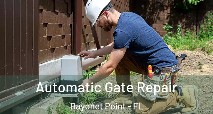 Automatic Gate Repair Bayonet Point - FL