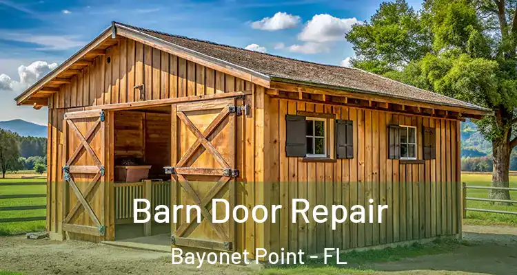 Barn Door Repair Bayonet Point - FL