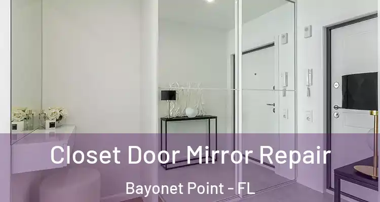 Closet Door Mirror Repair Bayonet Point - FL