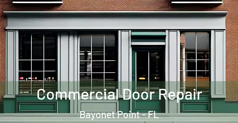 Commercial Door Repair Bayonet Point - FL