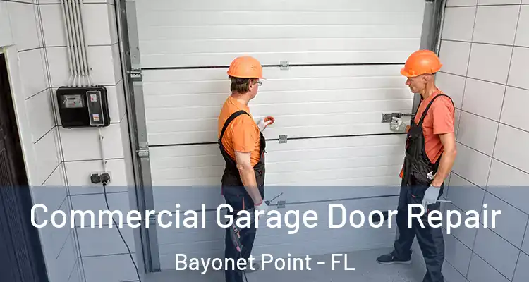 Commercial Garage Door Repair Bayonet Point - FL