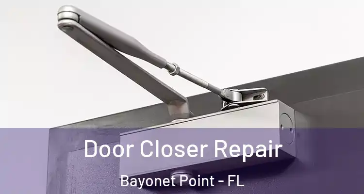 Door Closer Repair Bayonet Point - FL