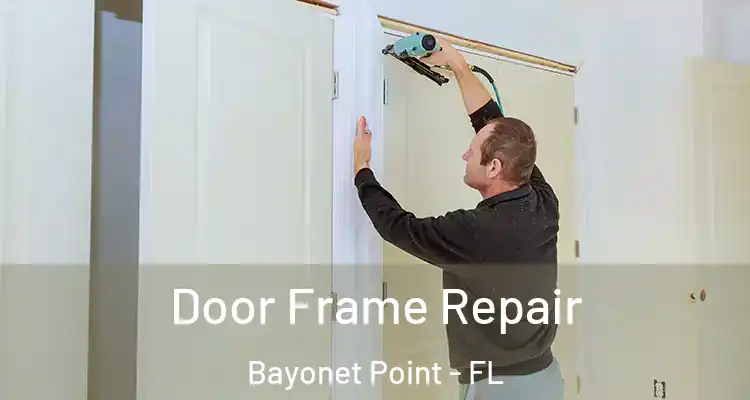 Door Frame Repair Bayonet Point - FL