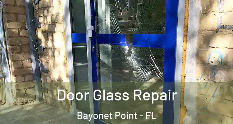 Door Glass Repair Bayonet Point - FL