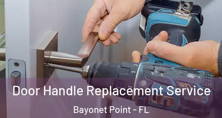Door Handle Replacement Service Bayonet Point - FL