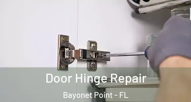 Door Hinge Repair Bayonet Point - FL