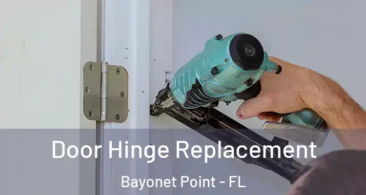 Door Hinge Replacement Bayonet Point - FL