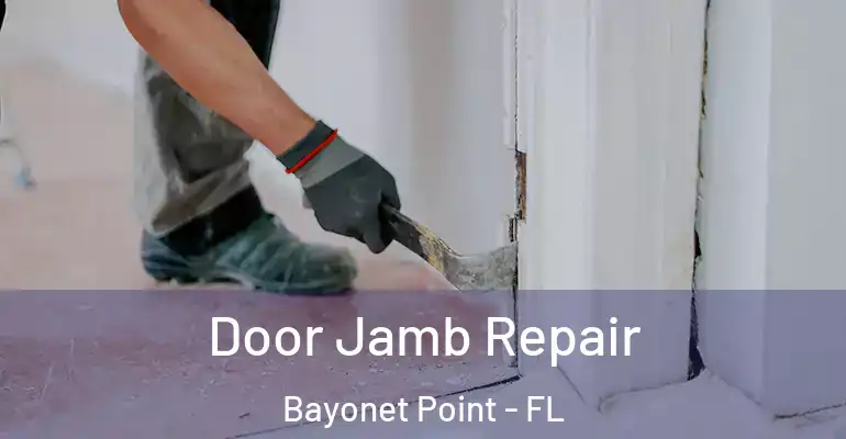 Door Jamb Repair Bayonet Point - FL