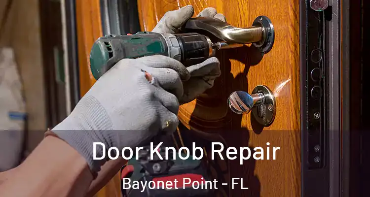 Door Knob Repair Bayonet Point - FL