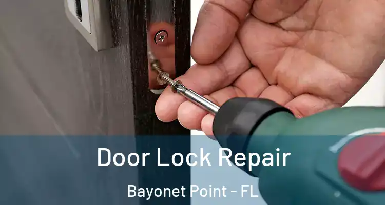Door Lock Repair Bayonet Point - FL