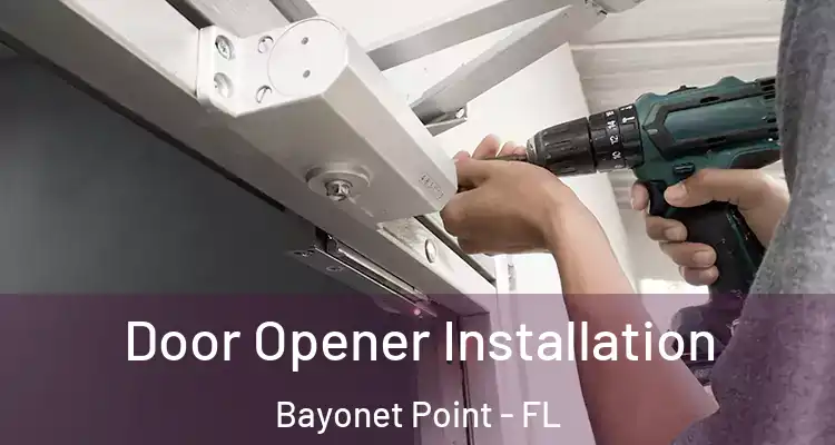 Door Opener Installation Bayonet Point - FL