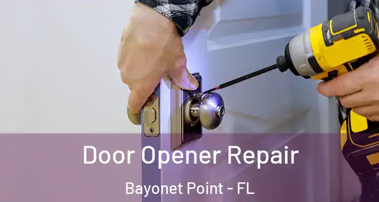 Door Opener Repair Bayonet Point - FL