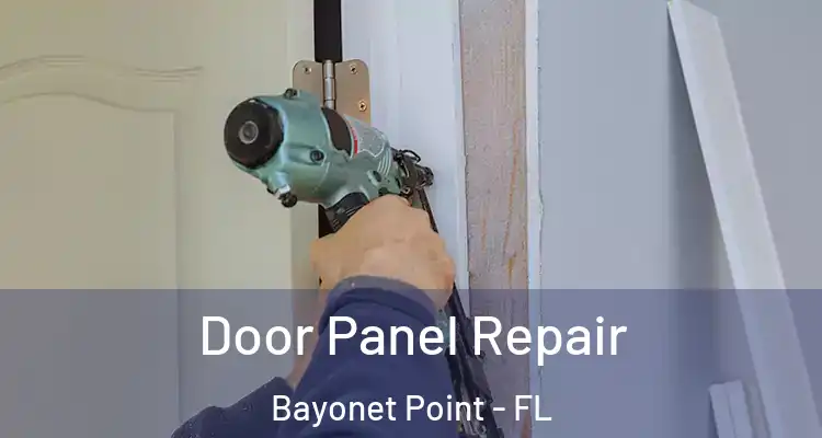 Door Panel Repair Bayonet Point - FL