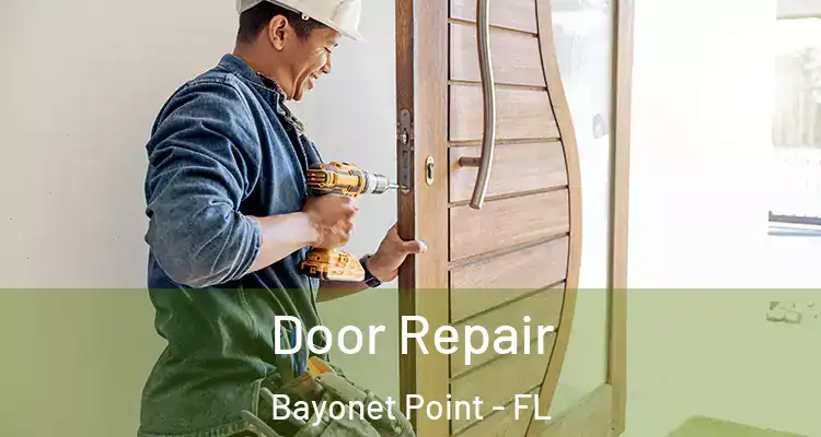 Door Repair Bayonet Point - FL