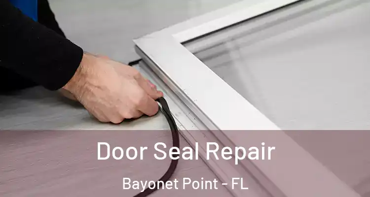 Door Seal Repair Bayonet Point - FL