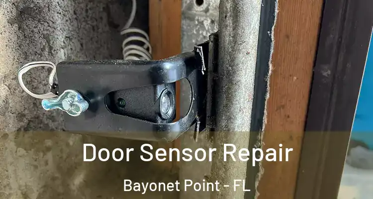 Door Sensor Repair Bayonet Point - FL