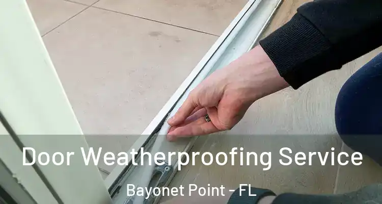 Door Weatherproofing Service Bayonet Point - FL
