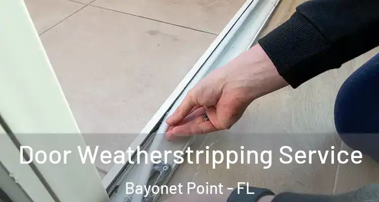 Door Weatherstripping Service Bayonet Point - FL