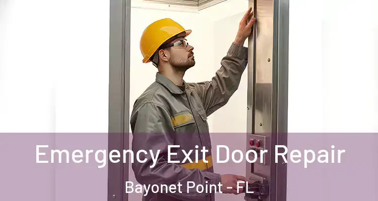 Emergency Exit Door Repair Bayonet Point - FL