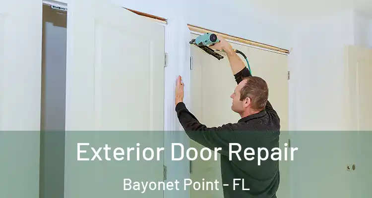 Exterior Door Repair Bayonet Point - FL