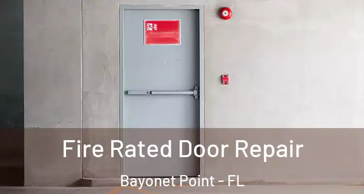 Fire Rated Door Repair Bayonet Point - FL