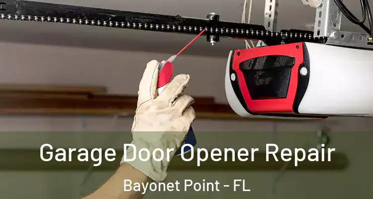 Garage Door Opener Repair Bayonet Point - FL