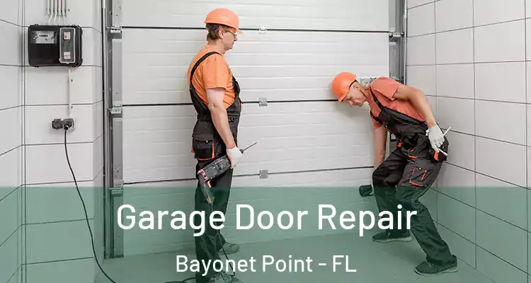 Garage Door Repair Bayonet Point - FL