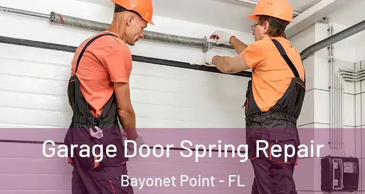 Garage Door Spring Repair Bayonet Point - FL