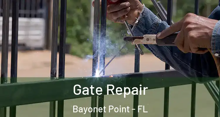 Gate Repair Bayonet Point - FL