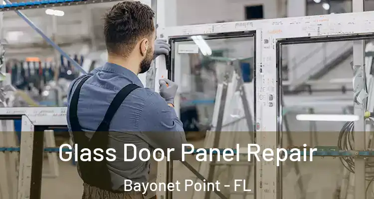 Glass Door Panel Repair Bayonet Point - FL