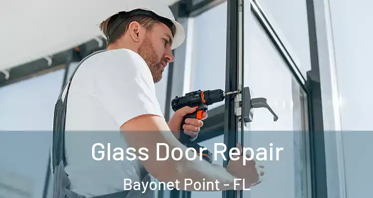 Glass Door Repair Bayonet Point - FL