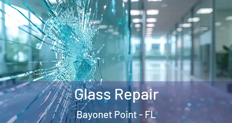 Glass Repair Bayonet Point - FL