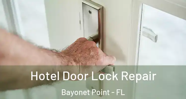 Hotel Door Lock Repair Bayonet Point - FL