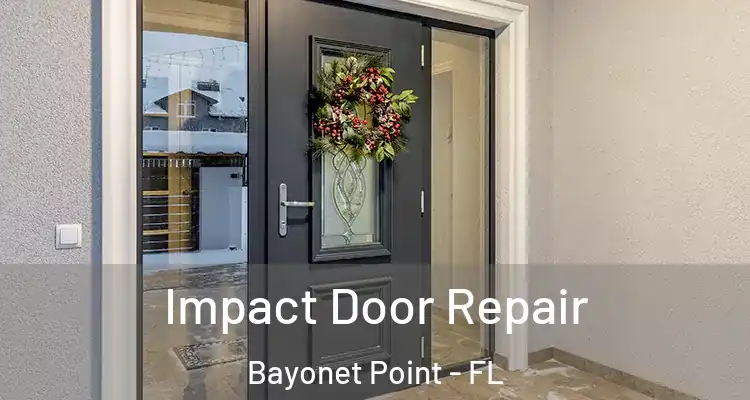 Impact Door Repair Bayonet Point - FL
