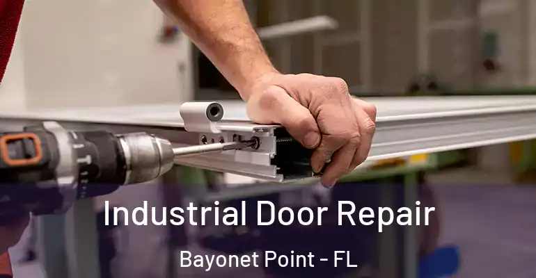 Industrial Door Repair Bayonet Point - FL