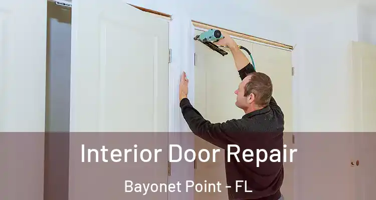 Interior Door Repair Bayonet Point - FL