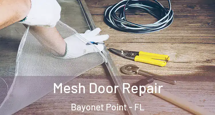 Mesh Door Repair Bayonet Point - FL