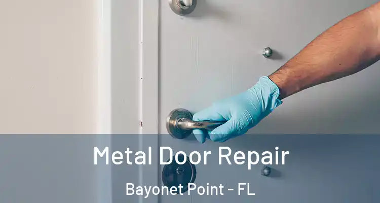 Metal Door Repair Bayonet Point - FL