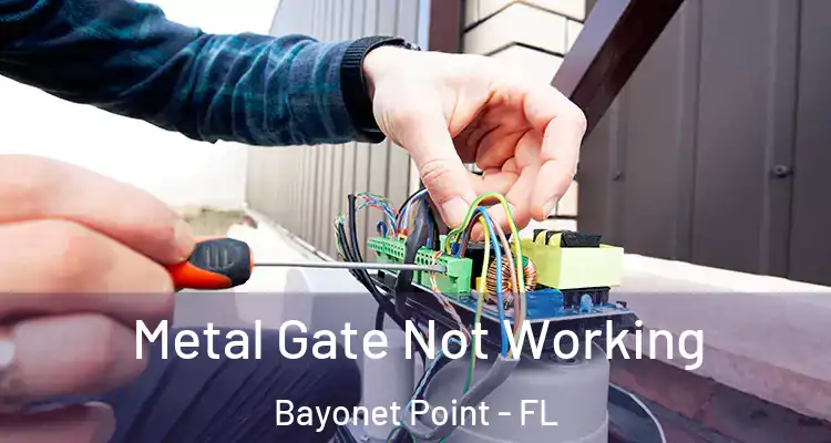 Metal Gate Not Working Bayonet Point - FL