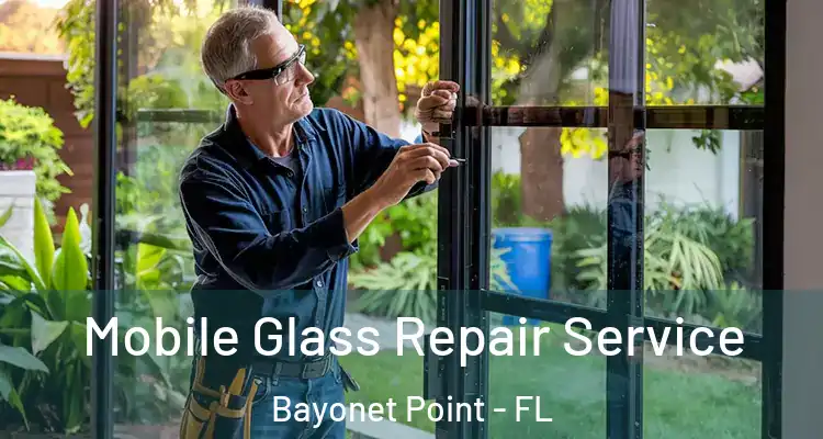 Mobile Glass Repair Service Bayonet Point - FL