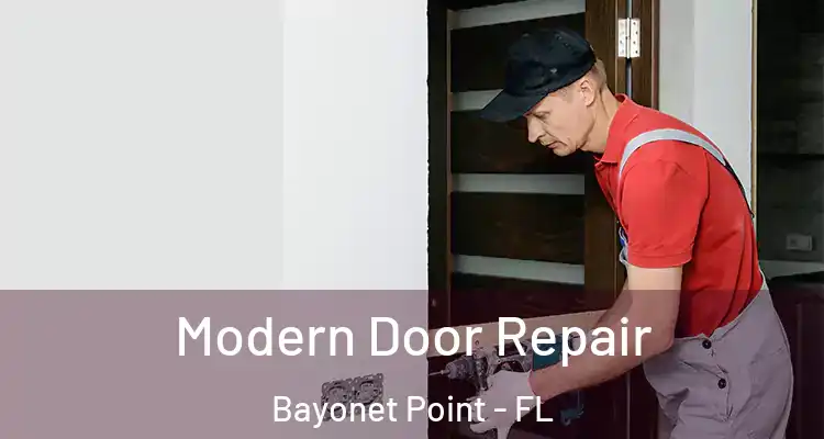 Modern Door Repair Bayonet Point - FL