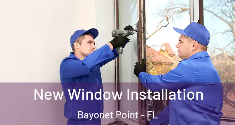 New Window Installation Bayonet Point - FL