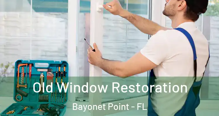 Old Window Restoration Bayonet Point - FL