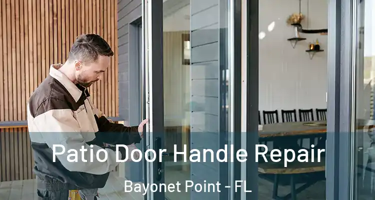 Patio Door Handle Repair Bayonet Point - FL