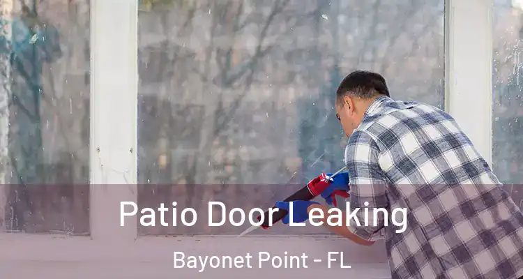 Patio Door Leaking Bayonet Point - FL