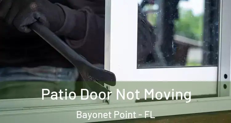 Patio Door Not Moving Bayonet Point - FL