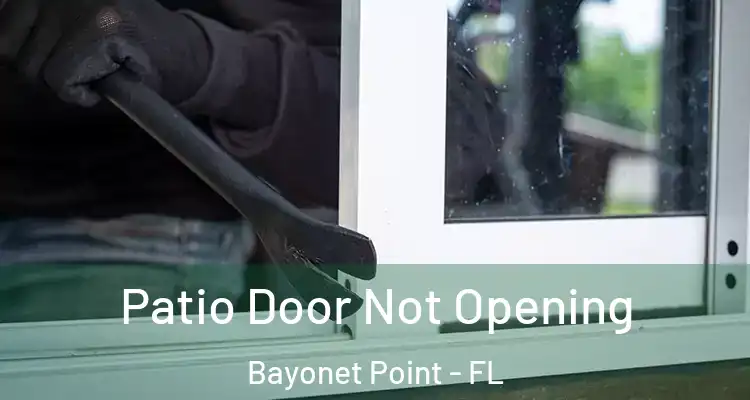 Patio Door Not Opening Bayonet Point - FL