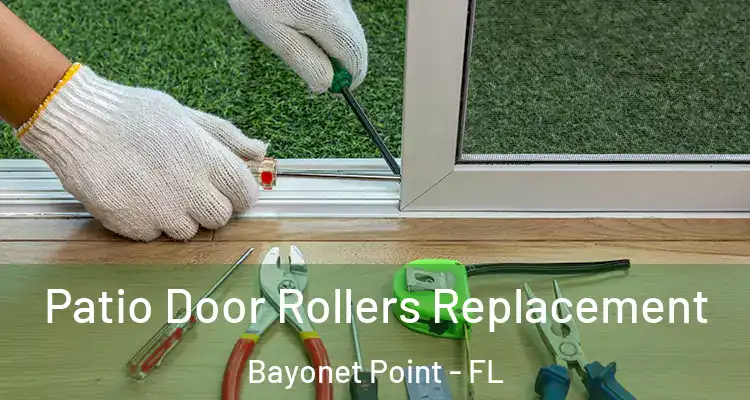 Patio Door Rollers Replacement Bayonet Point - FL