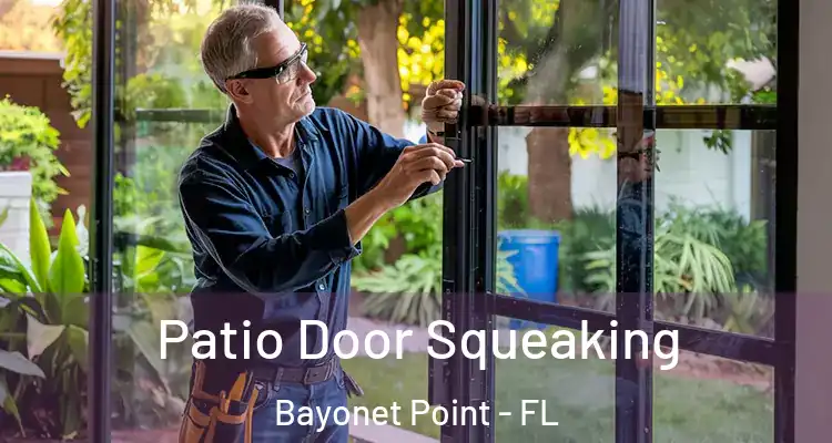 Patio Door Squeaking Bayonet Point - FL